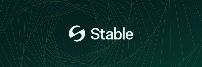 A dark green banner displays the "Stable" logo and wordmark in white, set against an abstract geometric pattern of thin intersecting lines. The branding directly corresponds to the post about Stable Chain, a USDT-native Layer 1 designed for stablecoin payments and global settlement with gas paid in USDT0/USDT.