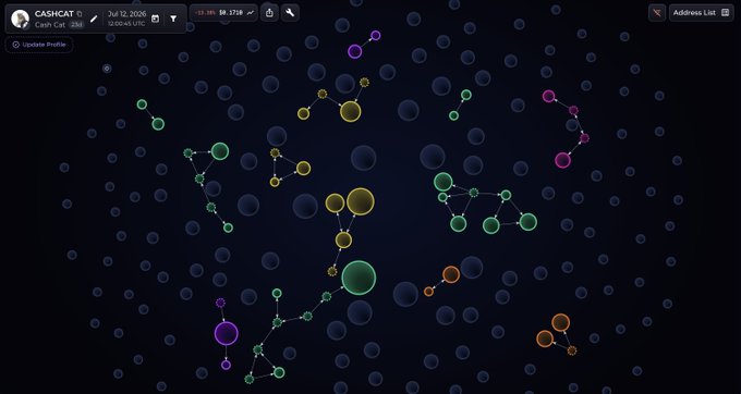 The image shows a "CASHCAT" profile on July 12, 2026, displaying a network of colored nodes. This relates to the post by showing the "CASHCAT" account's connections in a visual network, which seems to be what the user is referencing.