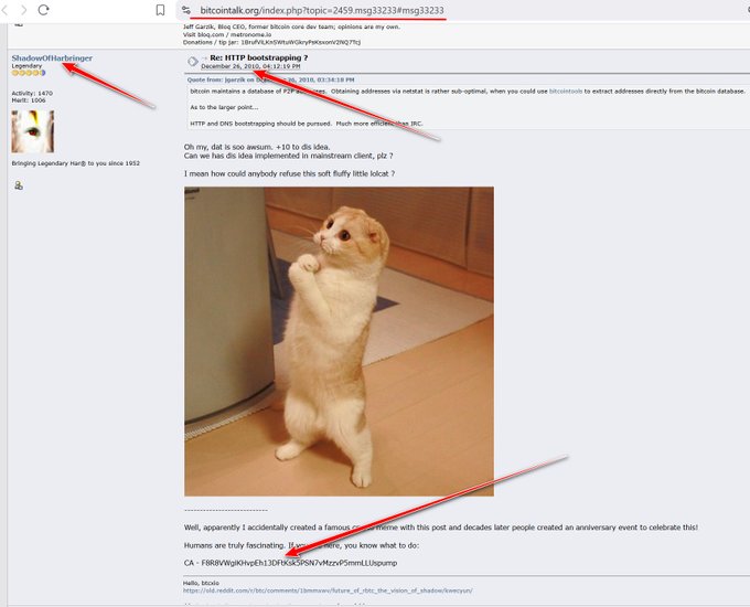 A Reddit post on r/bitcoin with a 2010 archive link showing Jeff Garzik discussing an 'HTTP bootstrapping' issue, accompanied by the famous 'Bitcoin Kittah' photo of a cat standing on hind legs.