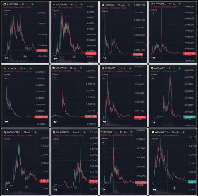 A grid of 12 cryptocurrency trading charts on the TradingView platform showing various tokens (JUGGERNAUT, HOODRAT, HOODLE, 51WETH, DATABEAST, 530AWETH, REPEWETH, 6663WETH, WISHBONE, MARIAN, DILWETH, WENWETH) all displaying significant price declines in red.