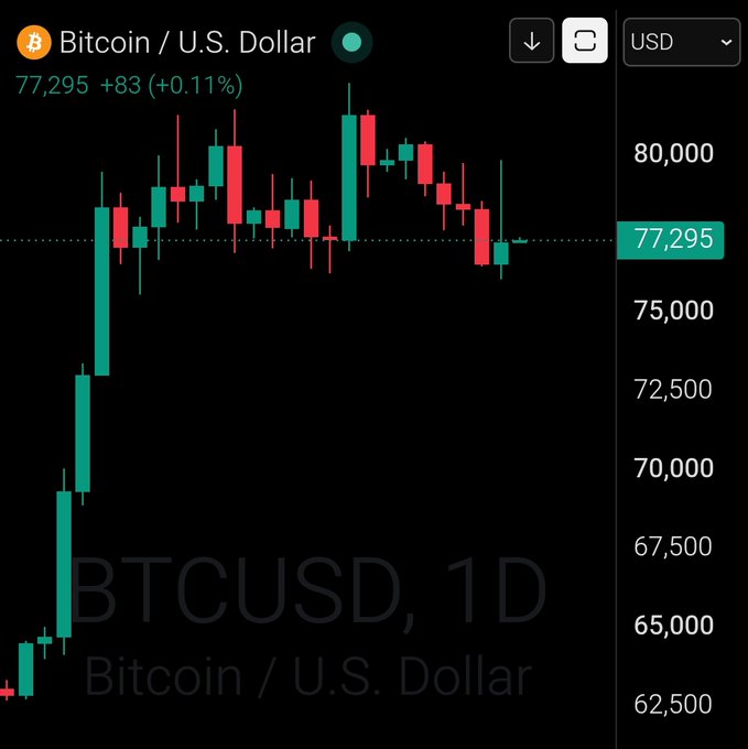 A daily candlestick chart of Bitcoin/U.S. Dollar (BTCUSD, 1D) shows the current price at $77,295, up $83 (+0.11%), matching the "GM Bitcoin $77,295" post after a recent pullback from highs near $80,000.