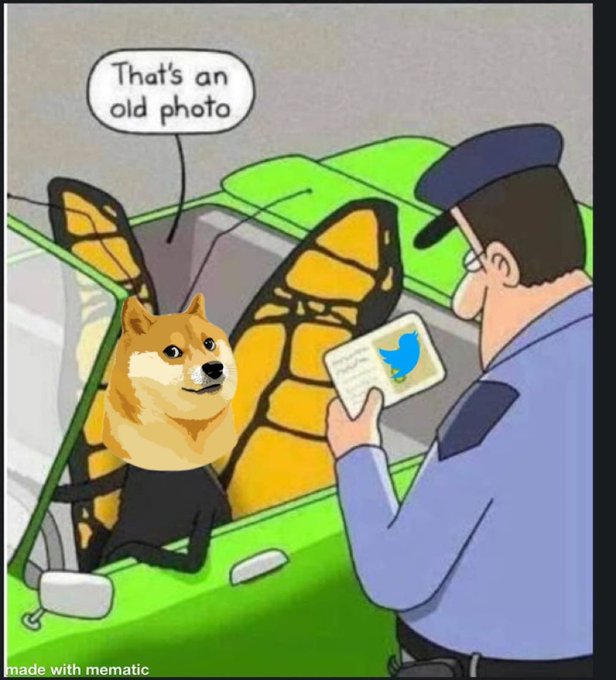 A Doge meme featuring a Shiba Inu with butterfly wings in a car telling a police officer, 'That's an old photo,' while the officer holds a Twitter ID card.