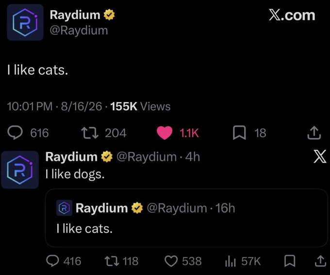 Screenshots of X.com posts from Raydium (@Raydium) display the simple tweets 'I like cats.' (155K views) and 'I like dogs.', along with a quote-tweet of the 'I like cats' post.