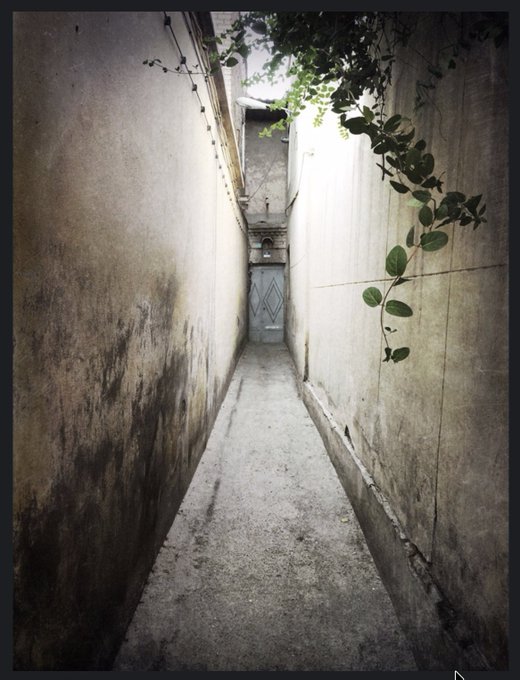 A narrow, weathered alleyway leads to a distant door framed by tall concrete walls draped with overhanging green vines, evoking the "Doors & Windows" theme of the NFT post. The somber, enclosed passage emphasizes a sense of mystery and transition, fitting the artwork's thematic focus on entryways.