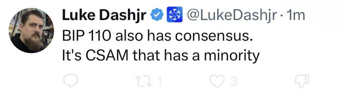 The image is a screenshot of a tweet from Luke Dashjr (@LukeDashjr) stating: "BIP 110 also ehs consensus. It's CSAM that has a minority." The tweet appears to be a response to the accompanying post criticizing BIP-110 advocates for repeatedly invoking CSAM in their arguments.