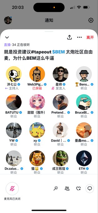 The image shows a Twitter Space hosted by user "洪七公" titled "就是投资建议#tapeout $BEM 大炮社区自由麦，为什么BEM这么牛逼" (Investment Advice #tapeout $BEM), featuring Web3Pig as co-host, Pretend as speaker, and Bens/YW/xy/David/Dr.zaius/猫/成都憨憨 as listeners. The accompanying post celebrates this discussion about $BEM, capturing the live community engagement around the token's investment potential.