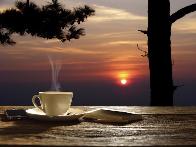 A steaming white cup of coffee sits on a saucer next to an open book and a smartphone on a wooden table, with a sunset over the ocean visible in the background framed by silhouetted pine trees.