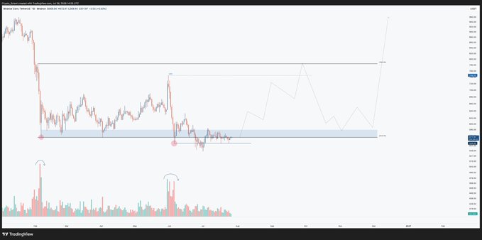 The image is a TradingView candlestick chart of BNB/USDT on Binance, showing roughly five months of price action consolidating between approximately $200 and $280 after a sharp decline from earlier highs, with low-volume deviations below the February lows circled on the volume histogram and a projected upward trajectory toward the upper range.