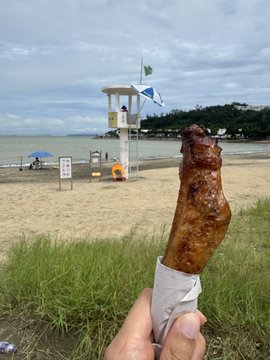 A hand holds a stick of grilled meat on the beach, with a lifeguard tower, a Scottish flag, and the ocean visible in the background.