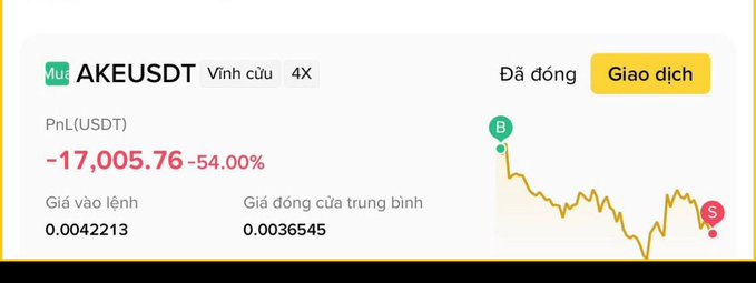 A trading interface for the AKEUSDT token showing a massive loss of -17,005.76 (-54.00%), with an order price of 0.0042213 and average closing price of 0.0036545, alongside a downward trending chart.
