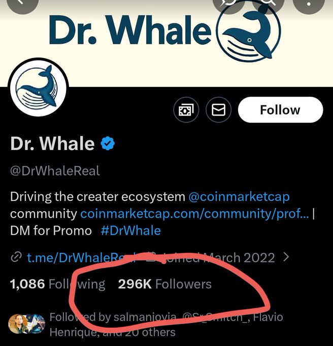 The image shows a Twitter/X profile for "Dr. Whale" (@DrWhaleReal) with 296K followers, who describes themselves as "Driving the creater ecosystem @coinmarketcap" and accepts DMs for promo with the hashtag #DrWhale. The circled highlight emphasizes the impressive 296K follower count, likely being showcased to support the credibility of the $lunc #GreenpeaceUNITED promotional post.
