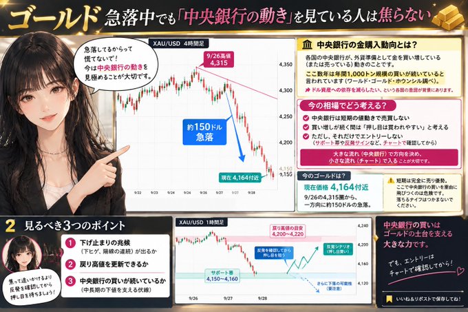 A financial analysis graphic featuring an anime-styled woman points to a XAU/USD chart showing gold prices falling to 4,164円, with Japanese text discussing central bank movements and market outlook.