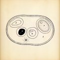 A simple black line drawing on a beige background depicts a bowl or dish containing swirled shapes and a dark, solid element.