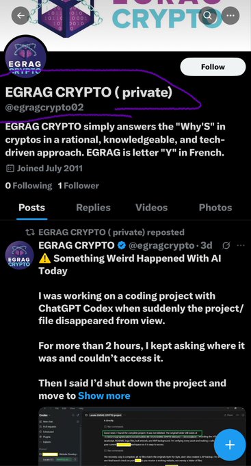 The image shows a screenshot of an X/Twitter profile for "EGRAG CRYPTO (private)" (@egragcrypto02), which was joined in July 2011 and has 0 following and 1 follower, with a recent post warning about "Something Weird Happened With AI Today" during a coding project with ChatGPT Codex. The caption likely relates to the accompanying post "make sure to report this scammer" by highlighting the suspicious nature of this account, noting the private/limited status, low engagement metrics, and potentially misleading crypto-focused content despite claiming expertise in AI-related coding scenarios.