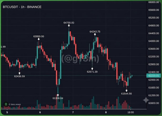 BTCUSDT 1-hour candlestick chart on Binance showing Bitcoin price action with key levels marked at 64700.00, 64243.75, 63999.00, 62671.39, 62436.59, 61544.56, and 61306.84, sourced from tree.news.