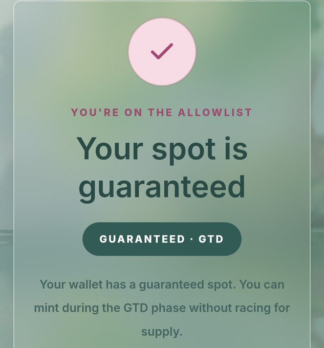 A notification card with a checkmark icon stating 'YOU'RE ON THE ALLOWLIST' and 'Your spot is guaranteed', explaining that the wallet has a guaranteed spot during the GTD phase.
