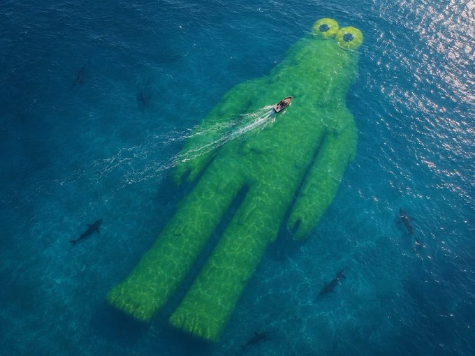 An aerial view shows a person swimming in clear blue ocean water next to a large green humanoid sculpture resembling a figure lying beneath the surface, with sharks visible swimming nearby.