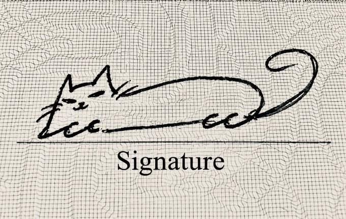 Close-up of an elegant handwritten signature with elaborate flourishes, placed on a signature line above the printed word 'Signature' on patterned background paper.