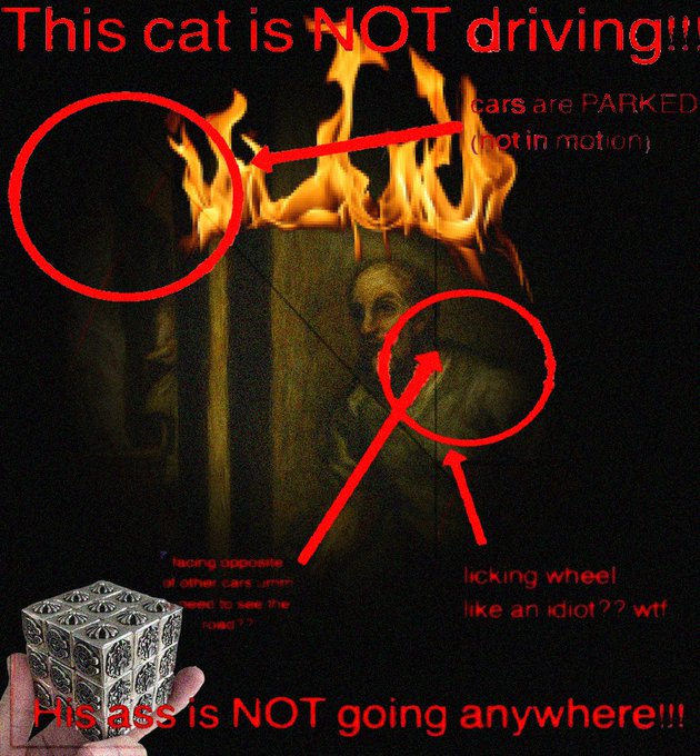 A meme image showing a cat inside a burning box with text claiming "This cat is NOT driving!!!" and "His ass is NOT going anywhere!!!", along with a hand holding a metal cube in the corner.