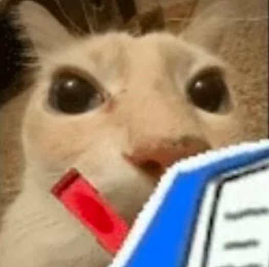 A close-up of a white cat with large dark eyes, holding a red object in its mouth and looking at a blue and white notebook or planner.