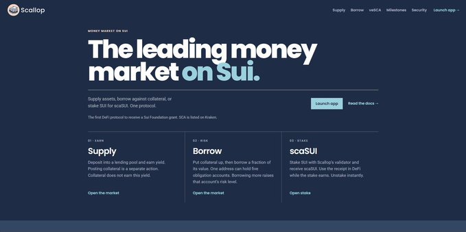 Scallop website homepage titled "MONEY MARKET ON SUI" with the headline "The leading money market on Sui." featuring sections for Supply, Borrow, and scaSUI staking.