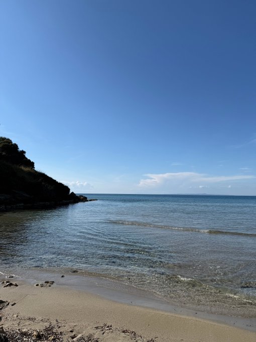 A serene coastal scene features gentle waves lapping onto a sandy shore beside a lush, tree-covered headland under a clear blue sky. The calm, expansive ocean and peaceful beach evoke a sense of tranquility—fitting for a "good day to be in crypto," suggesting a moment of calm confidence amid the market's ever-shifting tides.