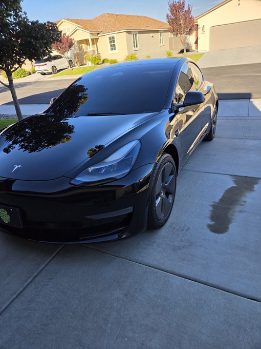 A black Tesla Model 3 parked in a residential driveway, with houses, a tree, and other cars visible in the sunlit background.