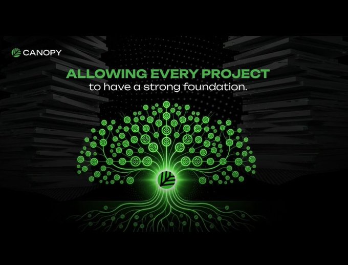 A Canopy promotional image with green neon tree graphic and text 'ALLOWING EVERY PROJECT to have a strong foundation.'