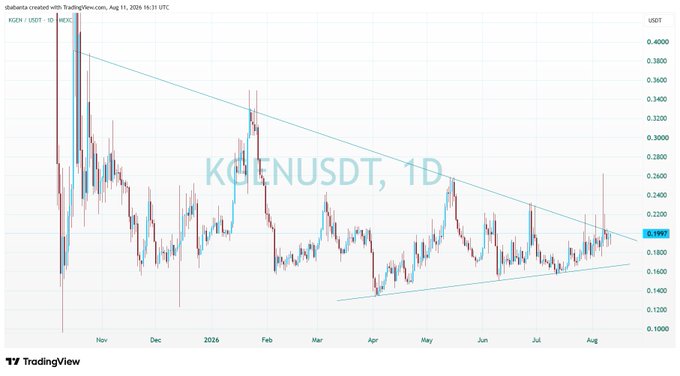 A TradingView chart displays 'KOENUSDT, 1D' (KOKEN/USDT) with a symmetrical triangle pattern drawn over candlestick price action from November through August.