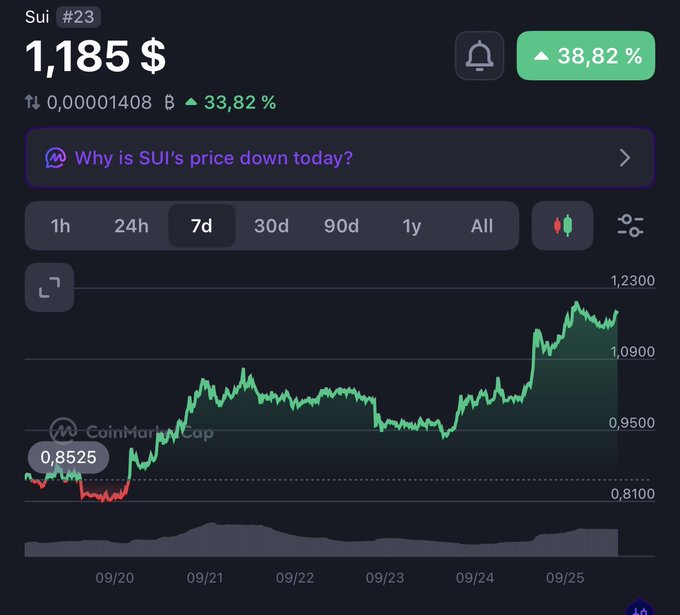 CoinMarketCap-style chart for SUI (#23) showing a price of $1.185 with a 38.82% gain over 7 days, up from a low of $0.8525, with a note 'Why is SUI's price down today?'