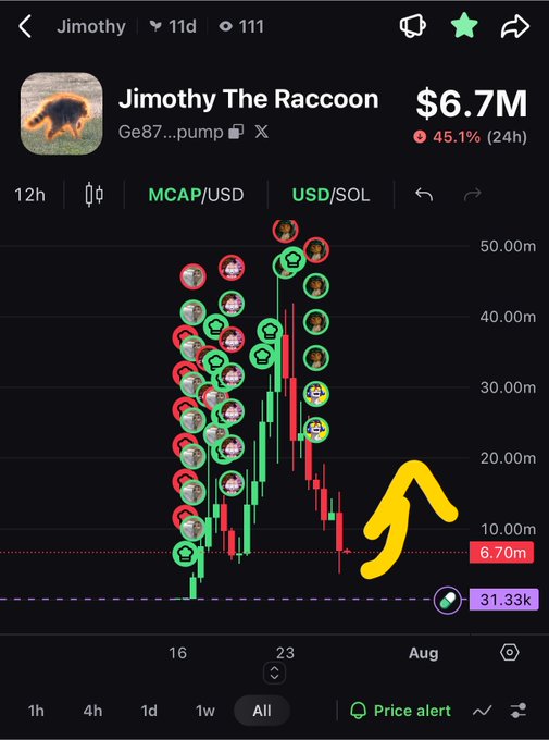 A mobile crypto chart shows 'Jimothy The Raccoon' token at a $6.7M market cap with a 45.1% 24h drop, with a yellow arrow pointing toward the descending price action.