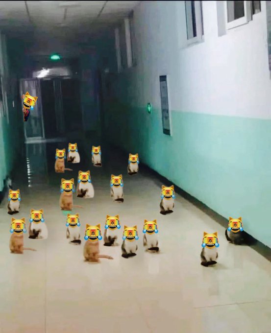A dimly lit hallway filled with multiple kittens sitting in rows, with crying cat emojis edited over each of their faces.