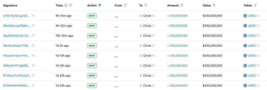 A blockchain transaction log showing multiple MINT entries, each with +250,000,000 amount and $250,000,000 value in USDC, sent to Circle, with various signature hashes and timestamps ranging from 4h 31m ago to 1d 20h ago.