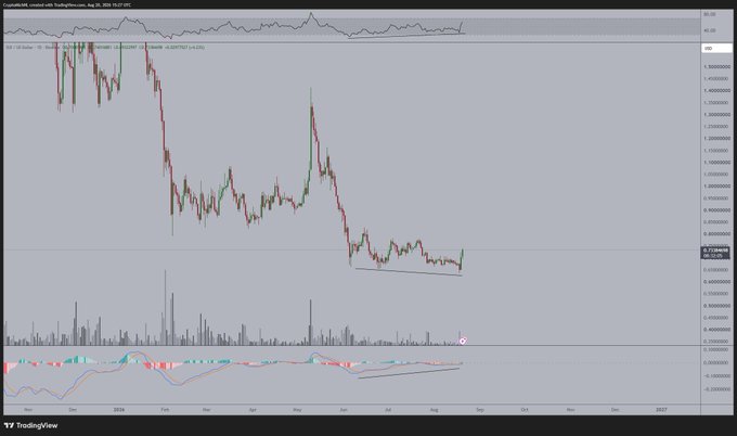 A TradingView candlestick chart for $SUI shows a clear bullish divergence, with price making lower lows (around $0.55) while the momentum indicator at the bottom forms higher lows—signaling a potential reversal toward the $1 target.