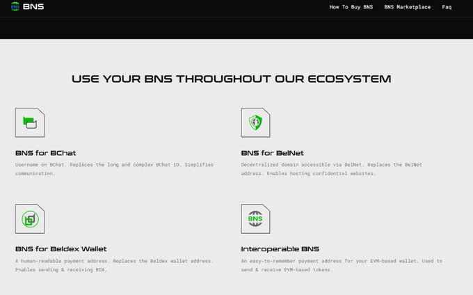 A website layout showing the BNS (Beldex Name Service) platform with the header "USE YOUR BNS THROUGHOUT OUR ECOSYSTEM," highlighting four use cases: BNS for BChat, BNS for BelNet, BNS for BelDex Wallet, and Interoperable BNS.