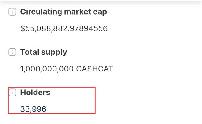 A screenshot of a token info page showing a Circulating market cap of $55,088,882.97894556, Total supply of 1,000,000,000 CASHCAT, and a highlighted Holders count of 33,996.