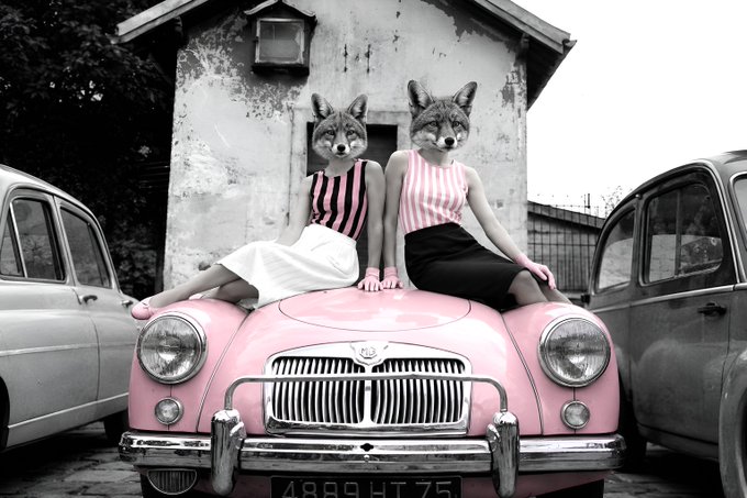 A surreal artistic photo of two figures with wolf/fox heads wearing pink striped tops, sitting on the hood of a pink vintage car in front of an old building, with other vintage cars on either side.