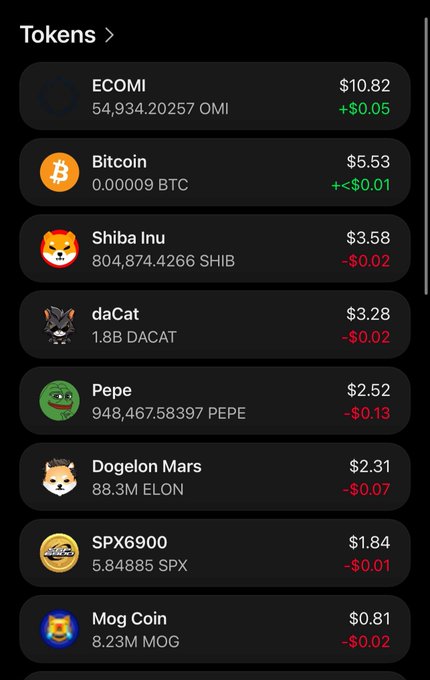 A cryptocurrency portfolio screen titled 'Tokens' lists holdings including ECOMI (+$0.05), Bitcoin (+$0.01), Shiba Inu (-$0.02), daCat (-$0.02), Pepe (-$0.13), Dogelon Mars (-$0.07), SPX6900 (-$0.01), and Mog Coin (-$0.02).