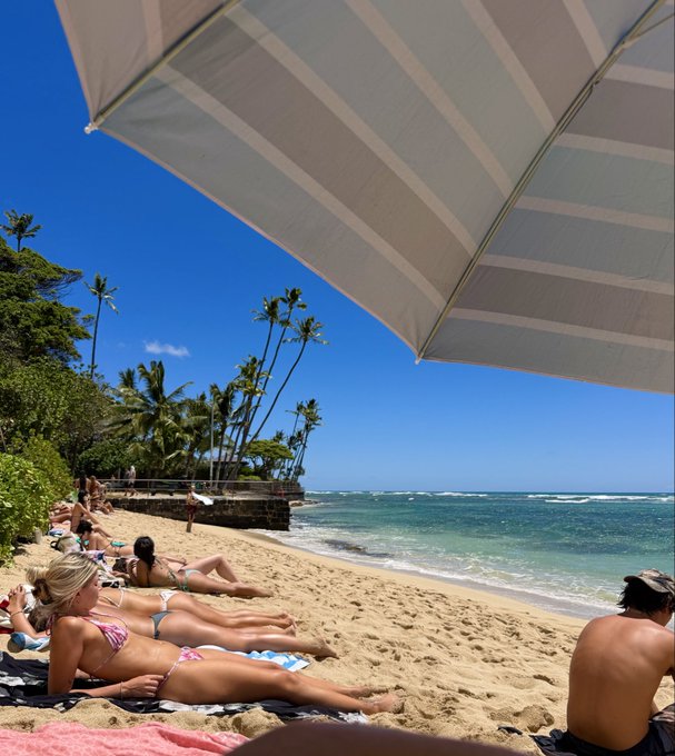 A beach scene with people sunbathing under an umbrella, palm trees, and the ocean visible.