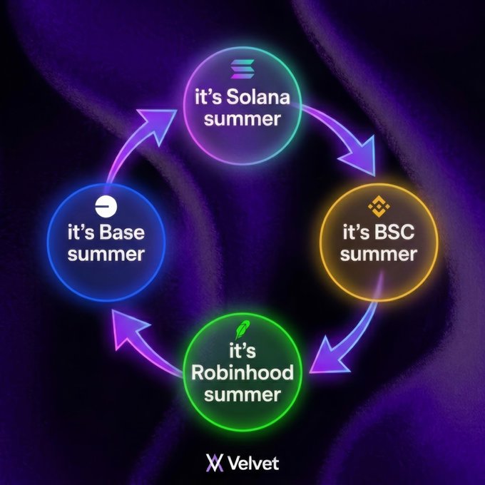 A neon-style circular diagram on a purple background showing "it's Solana summer," "it's BSC summer," "it's Robinhood summer," and "it's Base summer" connected by arrows, branded with "X Velvet" at the bottom.