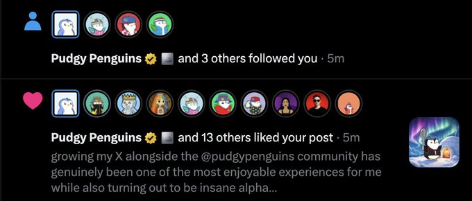 Twitter/X notification screenshot showing Pudgy Penguins and others following and liking a post about growing one's X alongside the @pudgypenguins community.