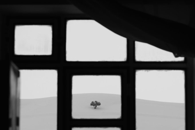 [caption-failed: minimax unavailable]