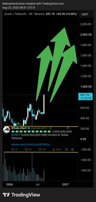 A TradingView chart of Zcash (ZEC/USDT) on Binance shows the price at $847.70 (+5.68%), decorated with three large hand-drawn green arrows pointing upward toward $1,000+, alongside a Whale Alert tweet noting Tether Treasury minting 1 billion USDT. The image visually represents Day 2 of the bullish campaign, pairing the optimistic arrow art with the newly minted USDT liquidity as catalysts to push ZEC past the $1,000 target.