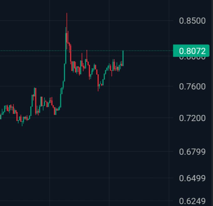 A candlestick chart on a dark background showing price action with a current value of 0.8072 marked on the right axis ranging from 0.6249 to 0.8500.