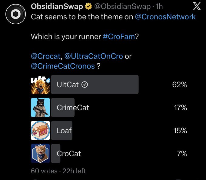 A Twitter/X post from ObsidianSwap asking followers to vote for their runner between @Crocat, @UltraCatOnCro, or @CrimeCatCronos, with UltCat leading at 62%, CrimeCat 17%, Loaf 15%, and CroCat 7% based on 60 votes.