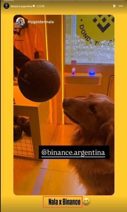 The image shows a golden retriever dog looking up at a black soccer ball suspended in mid-air, likely in a Binance-branded promotional space with orange lighting and a Binance logo on the ball. The text "@binance.argentina" and "Nala x Binance 😂" appears overlaid, suggesting a playful social media collaboration between the dog Nala and Binance Argentina, with the hashtag "#西蓝花" (broccoli in Chinese) hinting at a meme trend or community joke referenced in the post.