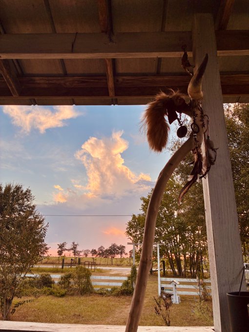 A scenic view from a rustic wooden porch showing a hanging decoration with feathers, looking out over a wetland with trees and a sky filled with dramatic pink and blue clouds at sunset.