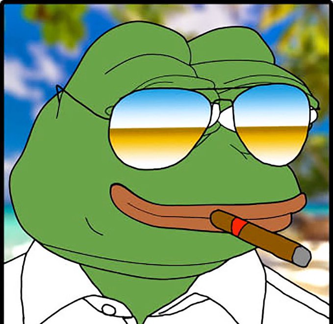 Image of Pepe the Frog wearing aviator sunglasses and smoking a cigar against a tropical beach background, a popular internet meme character.