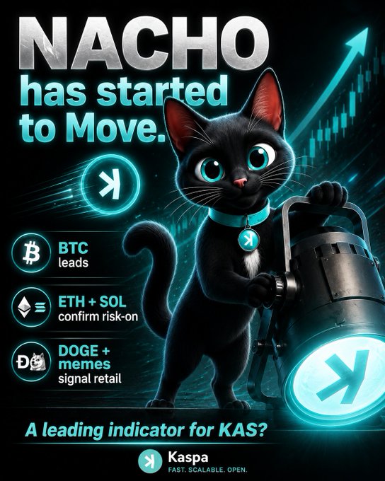 A crypto meme graphic titled 'NACHO has started to Move' showing a black cat holding a flashlight, with bullish BTC, ETH+SOL, and DOGE signals and text 'A leading indicator for KAS?' and the Kaspa logo.
