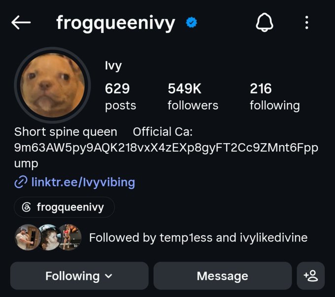 An Instagram profile page for 'frogqueenivy' with the display name 'Ivy', showing 629 posts, 549K followers, and 216 following, featuring a duck profile picture and bio text 'Short spine queen'.